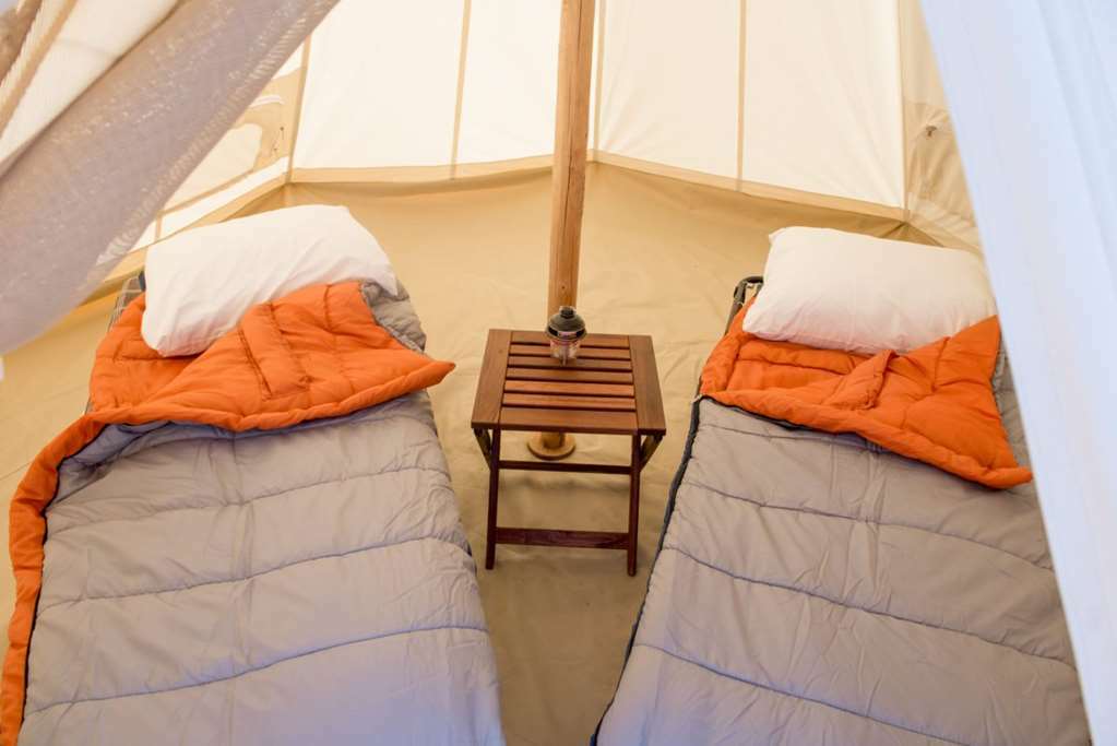 Under Canvas Zion Верджин Номер фото