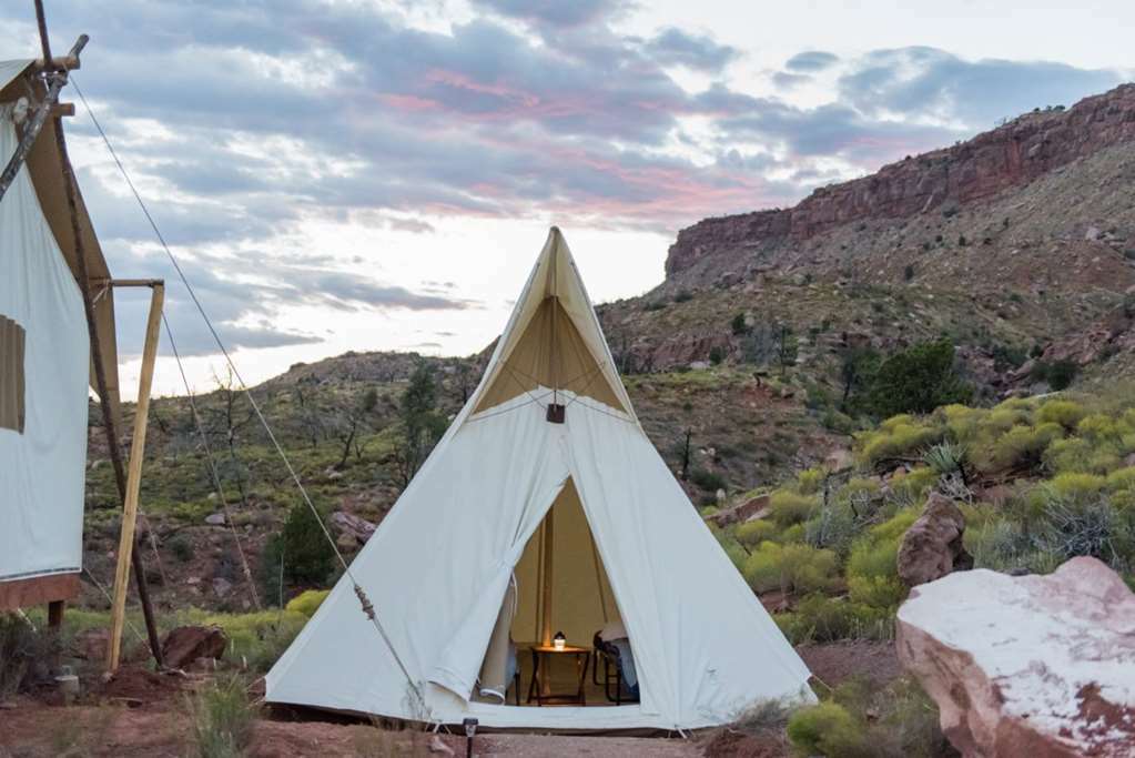 Under Canvas Zion Верджин Номер фото